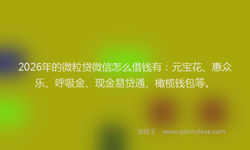 2026年的微粒贷微信怎么借钱有：元宝花、惠众乐、呼吸金、现金易贷通、橄榄钱包等。