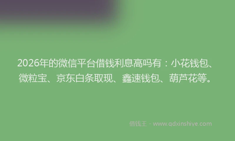 2026年的微信平台借钱利息高吗有:小花钱包、微粒宝、京东白条取现、鑫速钱包、葫芦花等。