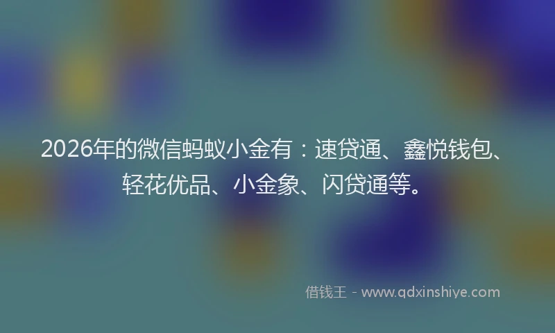 2026年的微信蚂蚁小金有:速贷通、鑫悦钱包、轻花优品、小金象、闪贷通等。