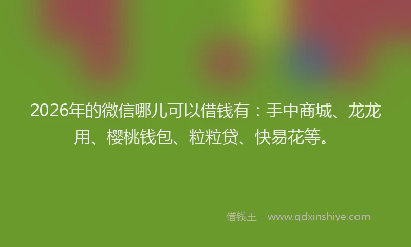 2026年的微信哪儿可以借钱有：手中商城、龙龙用、樱桃钱包、粒粒贷、快易花等。
