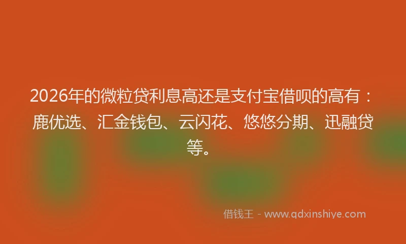 2026年的微粒贷利息高还是支付宝借呗的高有：鹿优选、汇金钱包、云闪花、悠悠分期、迅融贷等。