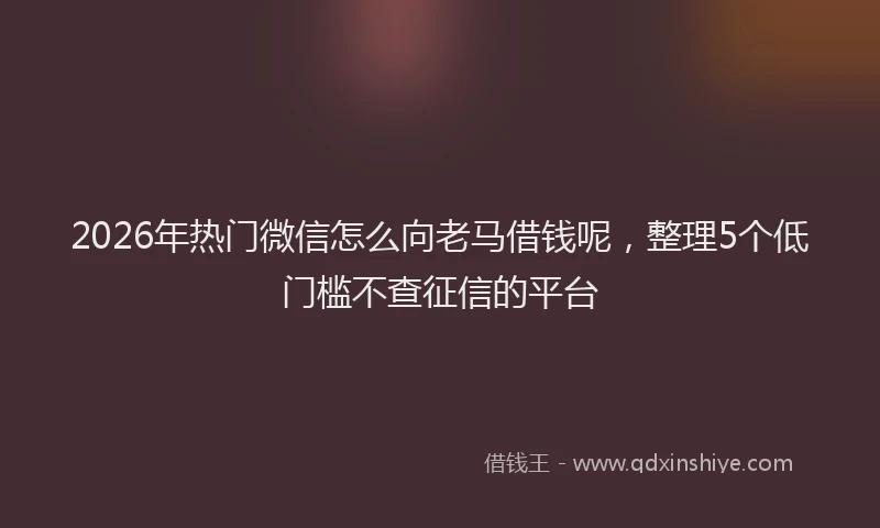 2026年热门微信怎么向老马借钱呢，整理5个低门槛不查征信的平台