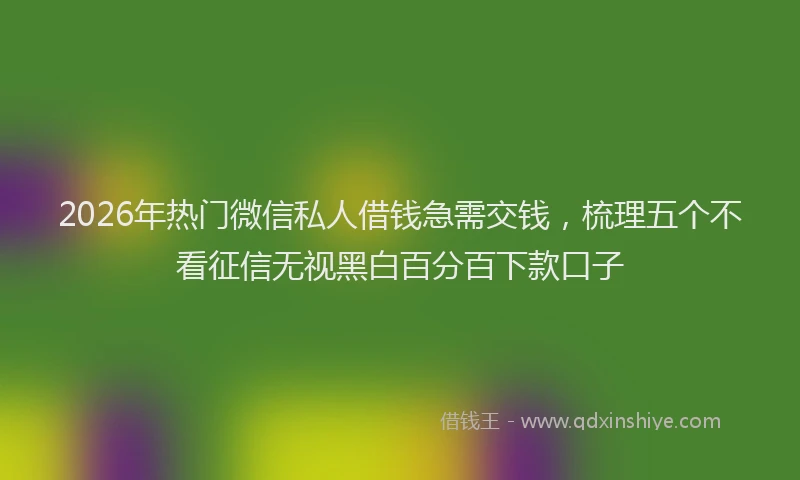 2026年热门微信私人借钱急需交钱，梳理五个不看征信无视黑白百分百下款口子