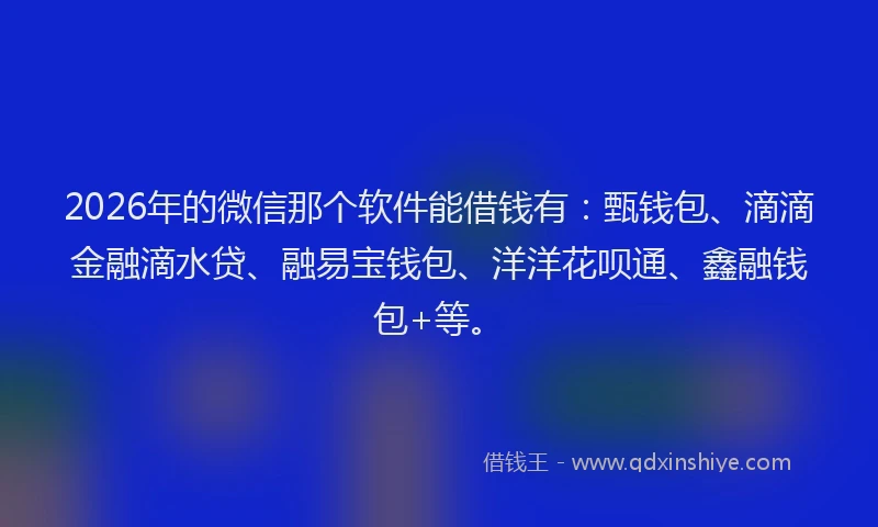 2026年的微信那个软件能借钱有：甄钱包、滴滴金融滴水贷、融易宝钱包、洋洋花呗通、鑫融钱包+等。