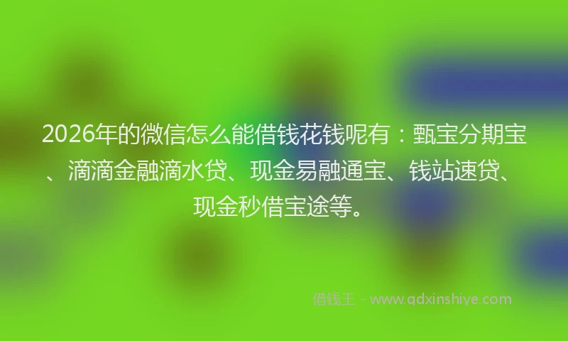 2026年的微信怎么能借钱花钱呢有：甄宝分期宝、滴滴金融滴水贷、现金易融通宝、钱站速贷、现金秒借宝途等。