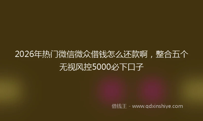 2026年热门微信微众借钱怎么还款啊，整合五个无视风控5000必下口子