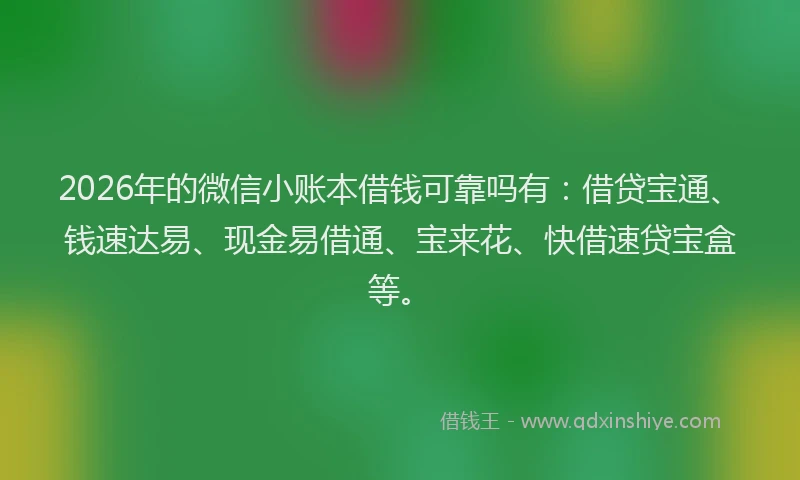 2026年的微信小账本借钱可靠吗有：借贷宝通、钱速达易、现金易借通、宝来花、快借速贷宝盒等。