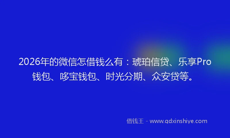 2026年的微信怎借钱么有：琥珀信贷、乐享Pro钱包、哆宝钱包、时光分期、众安贷等。