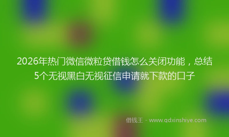 2026年热门微信微粒贷借钱怎么关闭功能，总结5个无视黑白无视征信申请就下款的口子