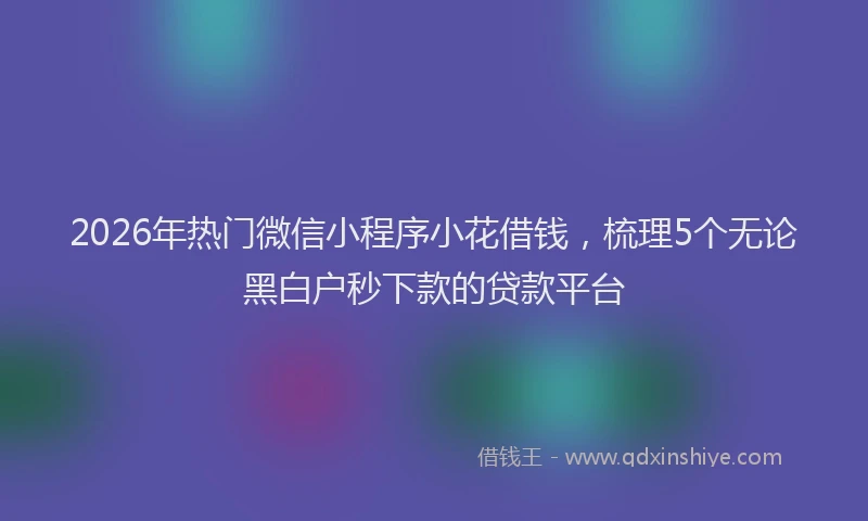 2026年热门微信小程序小花借钱，梳理5个无论黑白户秒下款的贷款平台