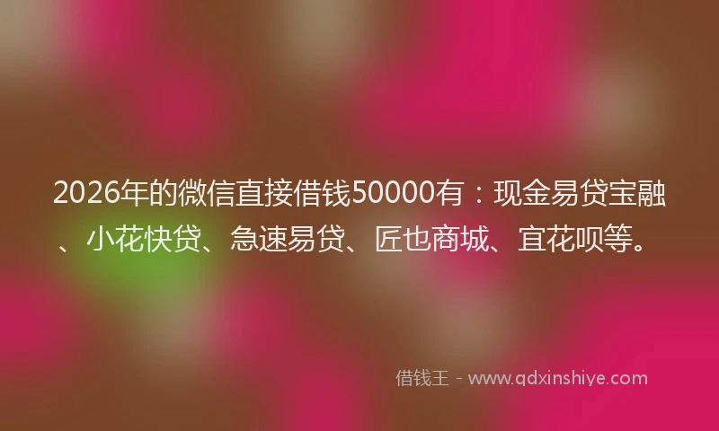 2026年的微信直接借钱50000有：现金易贷宝融、小花快贷、急速易贷、匠也商城、宜花呗等。