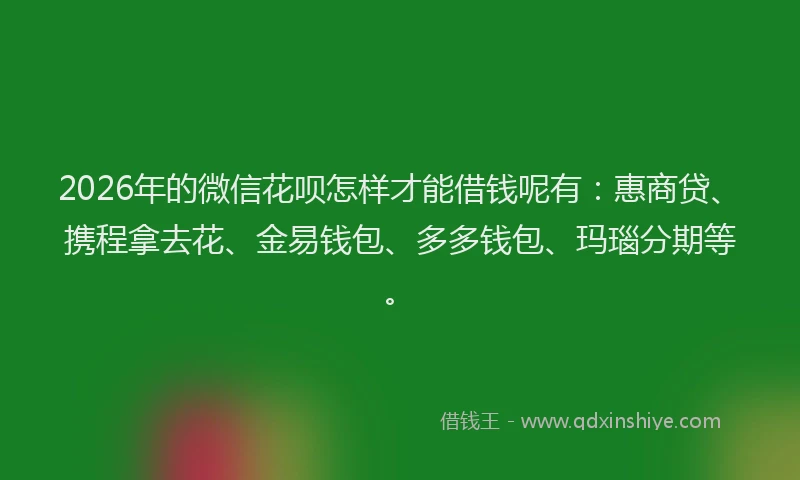 2026年的微信花呗怎样才能借钱呢有：惠商贷、携程拿去花、金易钱包、多多钱包、玛瑙分期等。