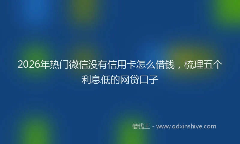 2026年热门微信没有信用卡怎么借钱，梳理五个利息低的网贷口子