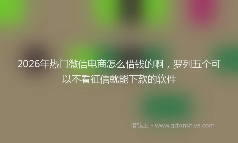 2026年热门微信电商怎么借钱的啊，罗列五个可以不看征信就能下款的软件