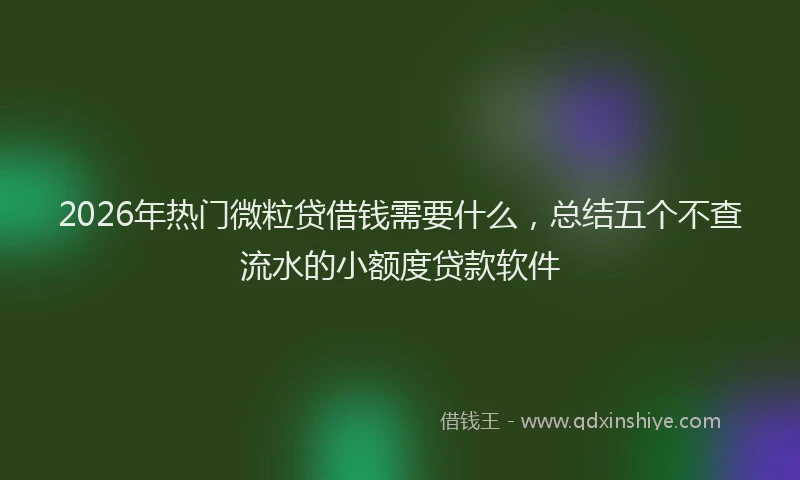 2026年热门微粒贷借钱需要什么，总结五个不查流水的小额度贷款软件