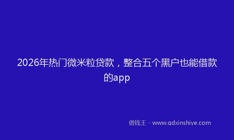 2026年热门微米粒贷款，整合五个黑户也能借款的app