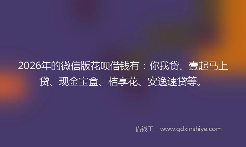 2026年的微信版花呗借钱有：你我贷、壹起马上贷、现金宝盒、桔享花、安逸速贷等。