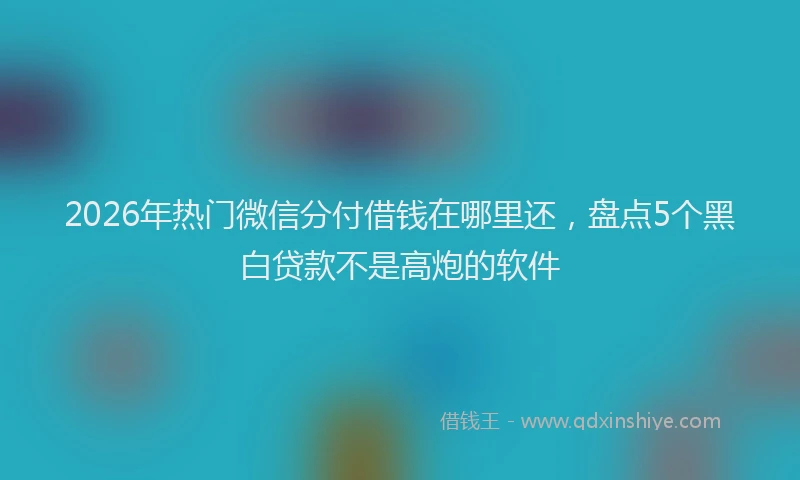 2026年热门微信分付借钱在哪里还，盘点5个黑白贷款不是高炮的软件