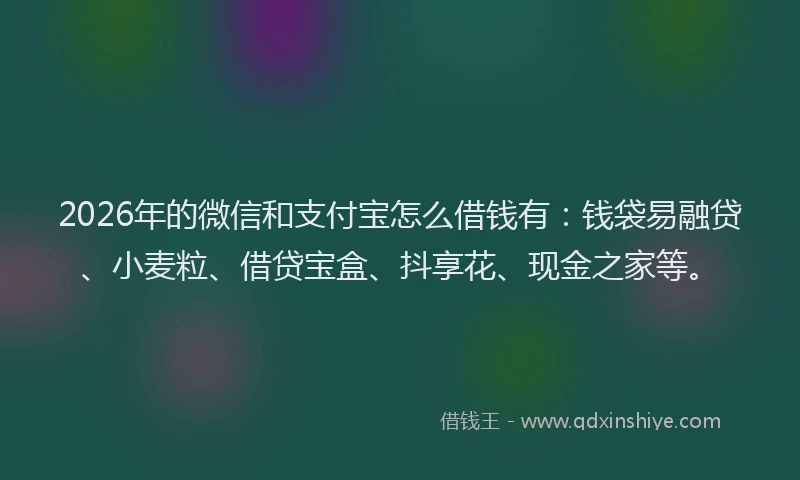 2026年的微信和支付宝怎么借钱有:钱袋易融贷、小麦粒、借贷宝盒、抖享花、现金之家等。