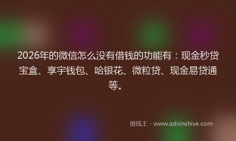 2026年的微信怎么没有借钱的功能有：现金秒贷宝盒、享宇钱包、哈银花、微粒贷、现金易贷通等。