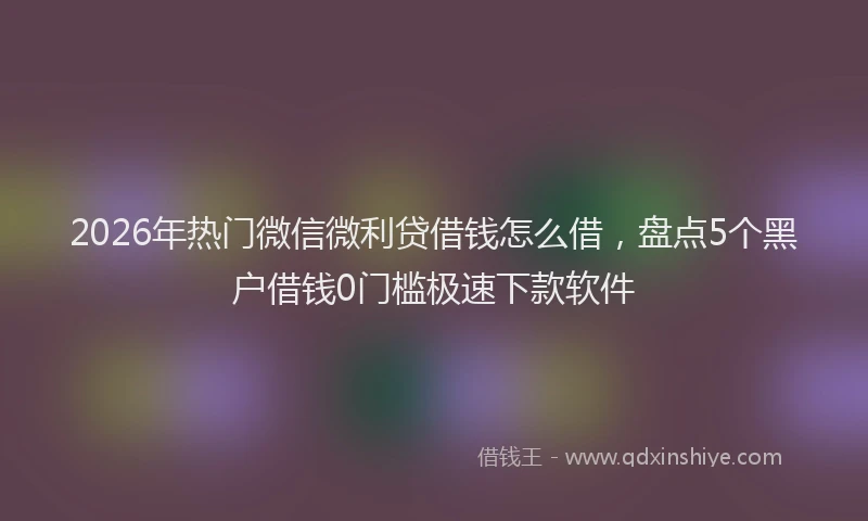 2026年热门微信微利贷借钱怎么借，盘点5个黑户借钱0门槛极速下款软件