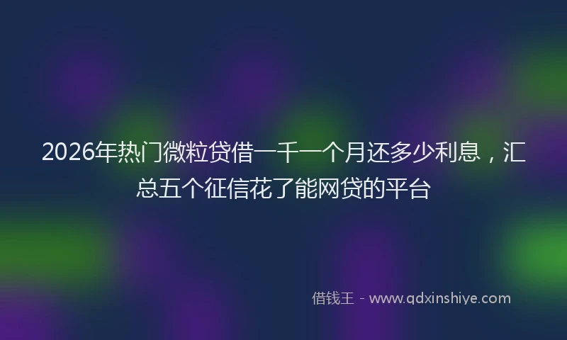 2026年热门微粒贷借一千一个月还多少利息，汇总五个征信花了能网贷的平台