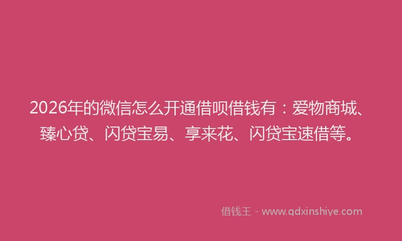 2026年的微信怎么开通借呗借钱有:爱物商城、臻心贷、闪贷宝易、享来花、闪贷宝速借等。