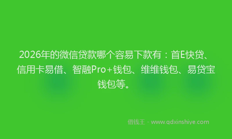 2026年的微信贷款哪个容易下款有：首E快贷、信用卡易借、智融Pro+钱包、维维钱包、易贷宝钱包等。