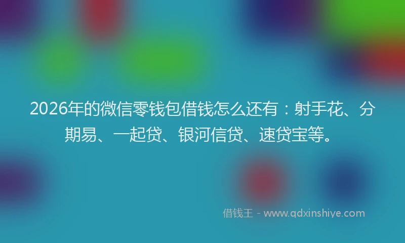 2026年的微信零钱包借钱怎么还有：射手花、分期易、一起贷、银河信贷、速贷宝等。
