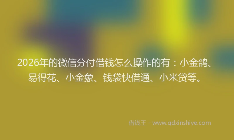 2026年的微信分付借钱怎么操作的有：小金鸽、易得花、小金象、钱袋快借通、小米贷等。