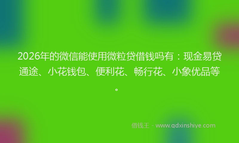 2026年的微信能使用微粒贷借钱吗有：现金易贷通途、小花钱包、便利花、畅行花、小象优品等。
