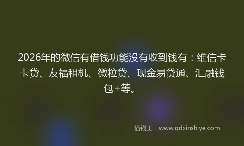 2026年的微信有借钱功能没有收到钱有：维信卡卡贷、友福租机、微粒贷、现金易贷通、汇融钱包+等。
