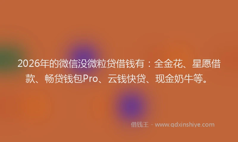 2026年的微信没微粒贷借钱有：全金花、星愿借款、畅贷钱包Pro、云钱快贷、现金奶牛等。