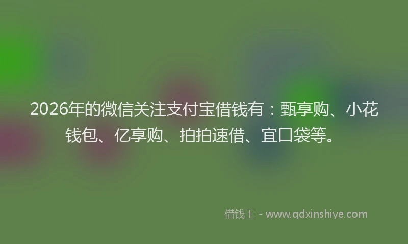 2026年的微信关注支付宝借钱有:甄享购、小花钱包、亿享购、拍拍速借、宜口袋等。