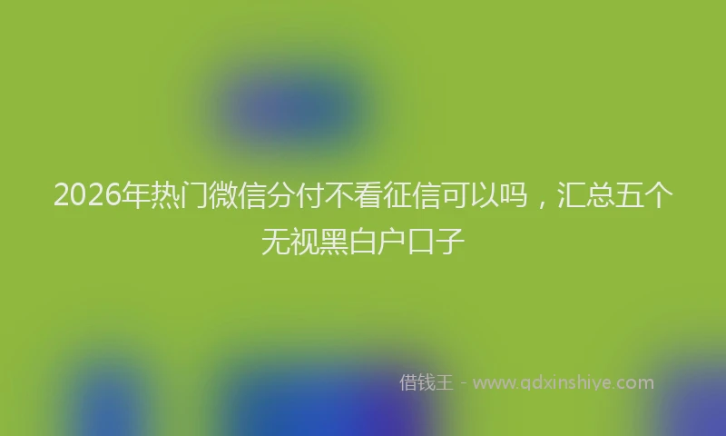 2026年热门微信分付不看征信可以吗，汇总五个无视黑白户口子