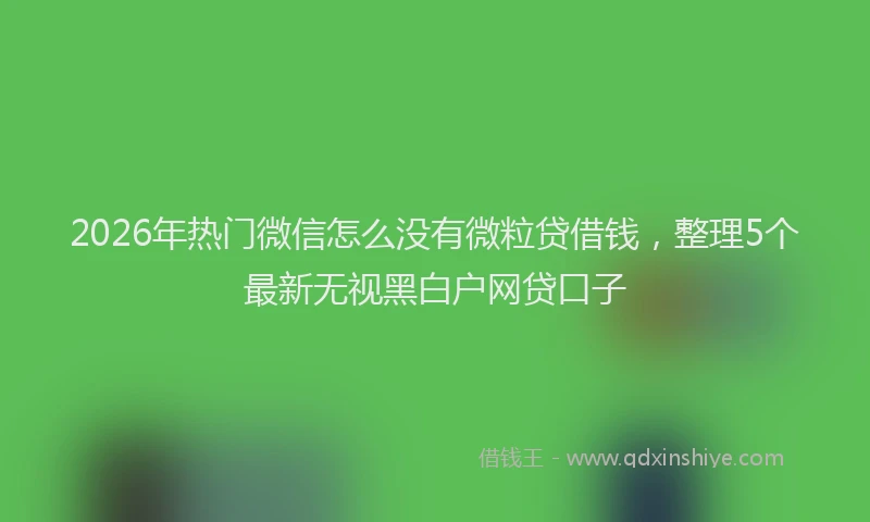 2026年热门微信怎么没有微粒贷借钱，整理5个最新无视黑白户网贷口子
