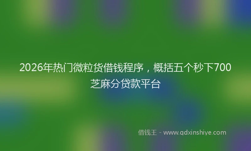 2026年热门微粒货借钱程序，概括五个秒下700芝麻分贷款平台