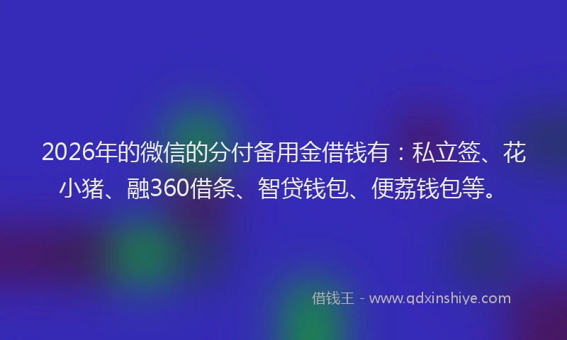 2026年的微信的分付备用金借钱有：私立签、花小猪、融360借条、智贷钱包、便荔钱包等。