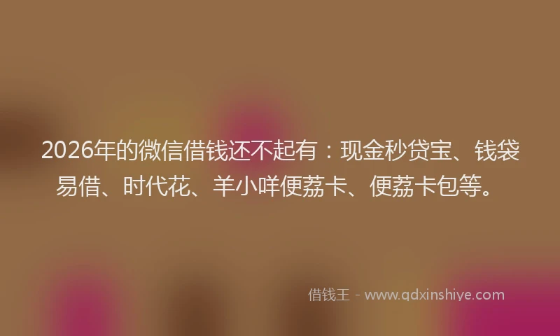 2026年的微信借钱还不起有：现金秒贷宝、钱袋易借、时代花、羊小咩便荔卡、便荔卡包等。