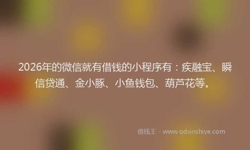 2026年的微信就有借钱的小程序有：疾融宝、瞬信贷通、金小豚、小鱼钱包、葫芦花等。