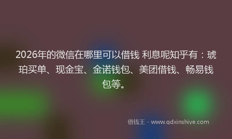 2026年的微信在哪里可以借钱 利息呢知乎有：琥珀买单、现金宝、金诺钱包、美团借钱、畅易钱包等。