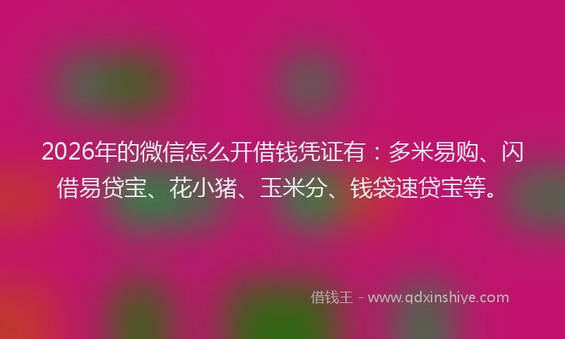2026年的微信怎么开借钱凭证有：多米易购、闪借易贷宝、花小猪、玉米分、钱袋速贷宝等。