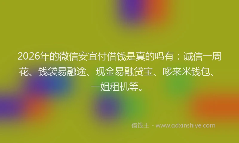 2026年的微信安宜付借钱是真的吗有：诚信一周花、钱袋易融途、现金易融贷宝、哆来米钱包、一姐租机等。