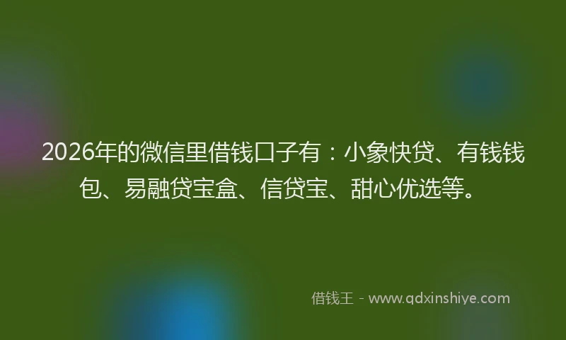2026年的微信里借钱口子有：小象快贷、有钱钱包、易融贷宝盒、信贷宝、甜心优选等。