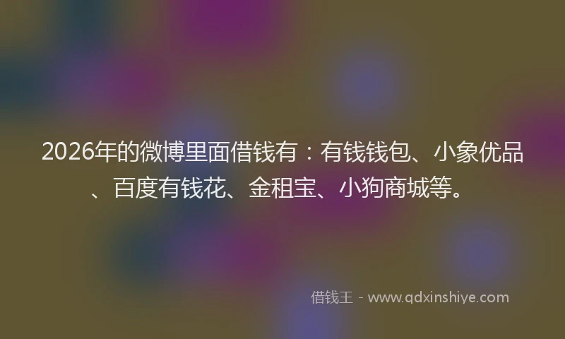 2026年的微博里面借钱有：有钱钱包、小象优品、百度有钱花、金租宝、小狗商城等。