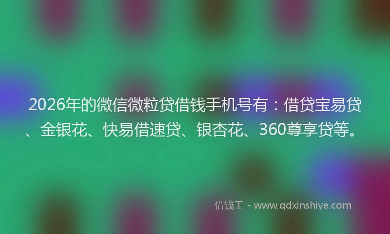 2026年的微信微粒贷借钱手机号有：借贷宝易贷、金银花、快易借速贷、银杏花、360尊享贷等。