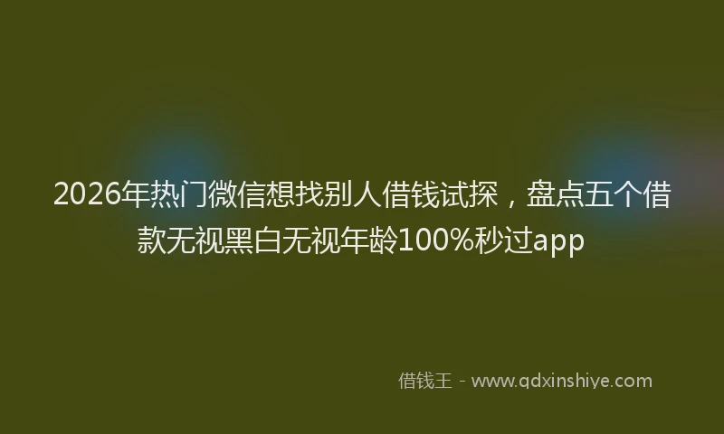 2026年热门微信想找别人借钱试探，盘点五个借款无视黑白无视年龄100%秒过app