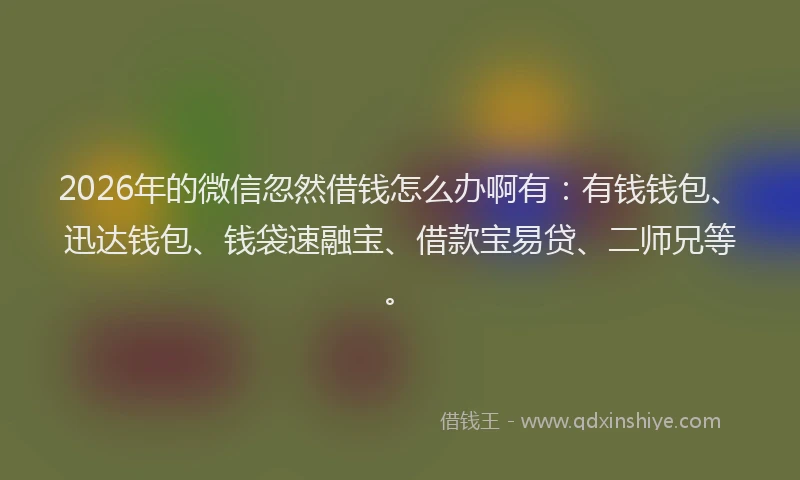 2026年的微信忽然借钱怎么办啊有:有钱钱包、迅达钱包、钱袋速融宝、借款宝易贷、二师兄等。