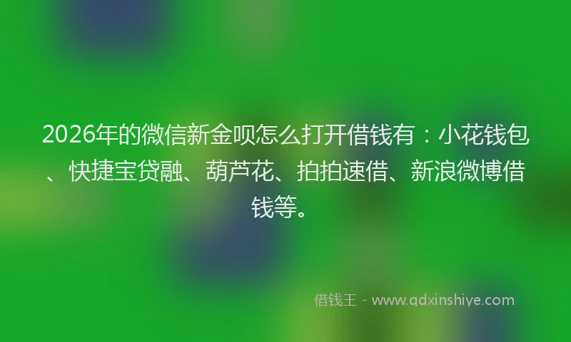 2026年的微信新金呗怎么打开借钱有：小花钱包、快捷宝贷融、葫芦花、拍拍速借、新浪微博借钱等。