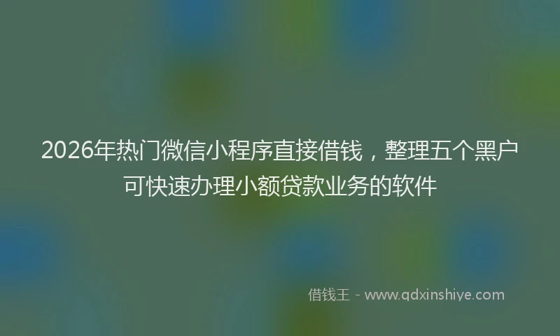 2026年热门微信小程序直接借钱，整理五个黑户可快速办理小额贷款业务的软件